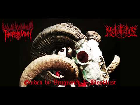 Thornspawn-"Under the Illustrious Eminence of Satan's Doctrine" / Maledictvs-"El Ascenso de Lucifer"