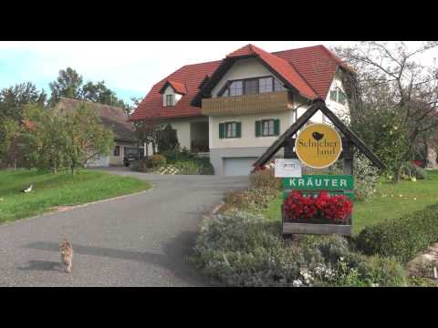 Schilcherland - die neue Version