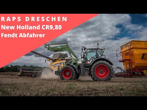 RAPS DRESCHEN | NH CR9.80 | MacDon FD140 | Fendt Abfahrer | HOF STAHMER (LTS)