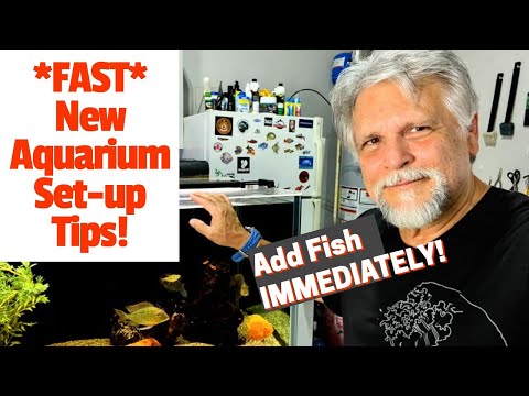 My *Best Tips* for Setting Up a NEW AQUARIUM!