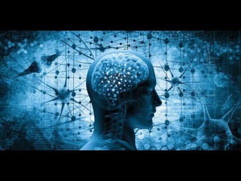 Mindennapi Tudomány -  Vajon Darwin tévedett?