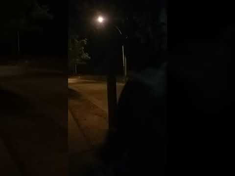 ELAIA MC #EGOFESTCÓRDOBA