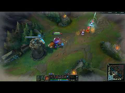 Flakked confude a Jankos con su TP