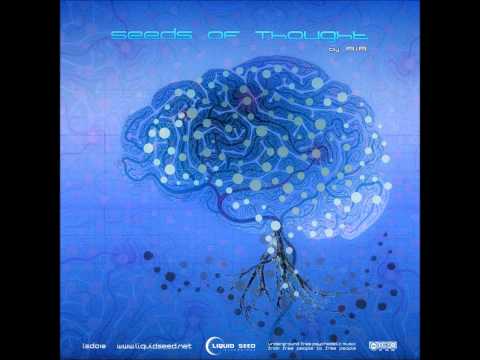 Psypunk - Healing Corridors [Seeds Of Thought]