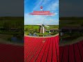 Most Beautiful Places In Netherlands Nature Explore Adventure Travel