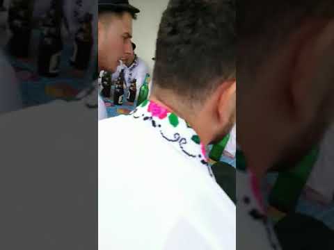 Poienile de sub munte 19