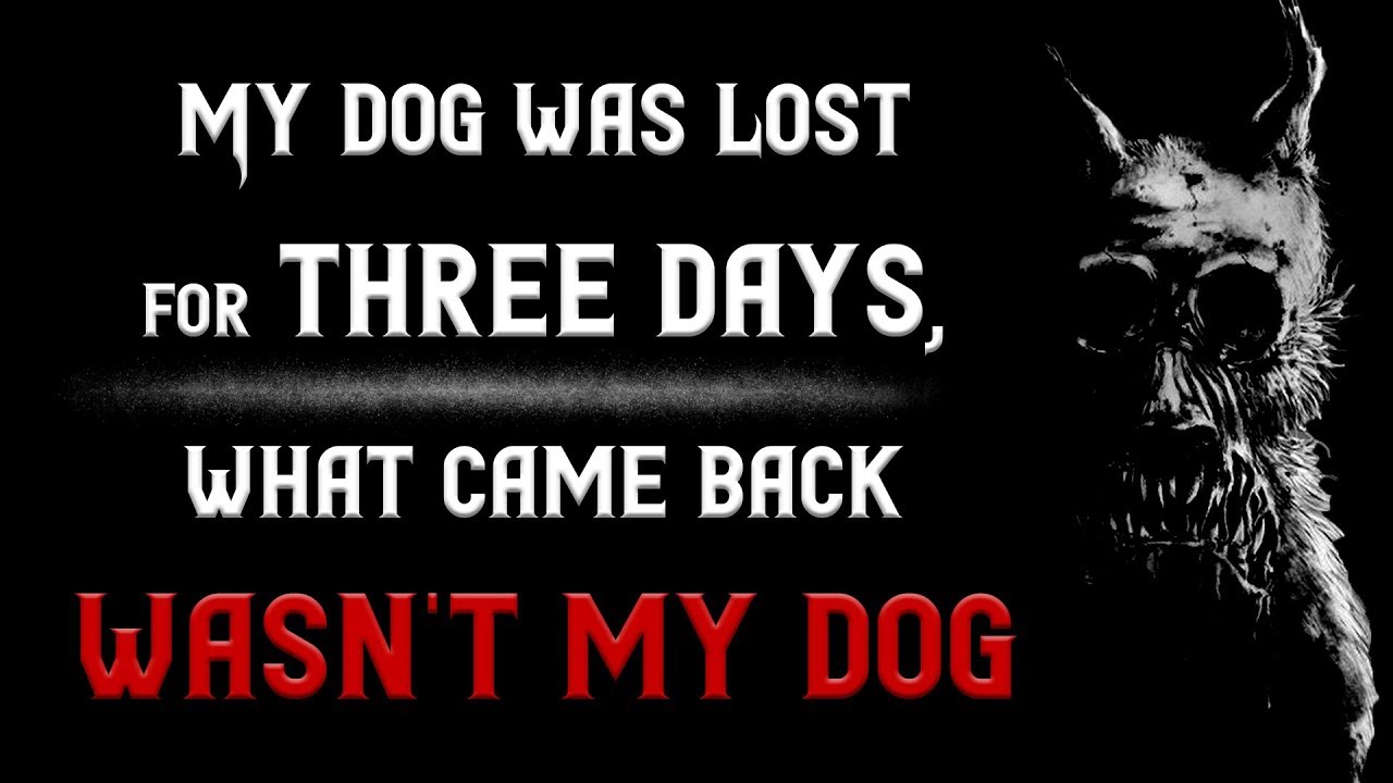 My dog was lost for three days, What came back wasn't my dog | Scary Nosleep Stories | Creepypasta