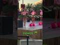 Hula Dancing In Hawaii Travel Travelblogger Travelvlog Hawaii Honolulu Luau Party Hula Huladancer