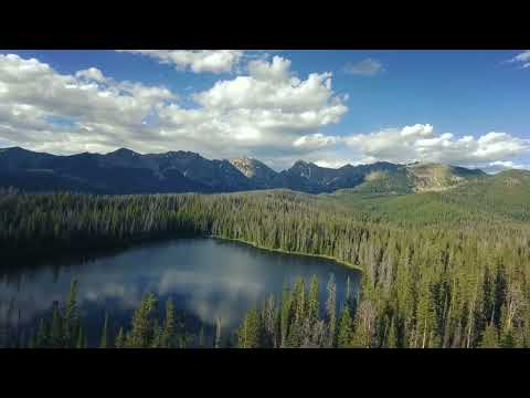 Lost Synths - Make Me Feel (Official Music Video)