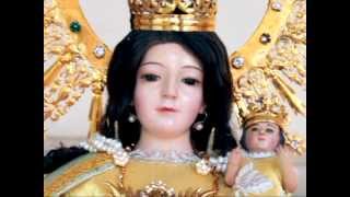 preview picture of video 'Fiestas de Nuestra Señora del Rosario  de Tonalá Jal. 2012'