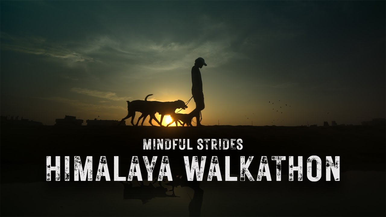 Himalaya Mindful Strides