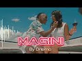 Driemo Magini Official Instrumental Music Video