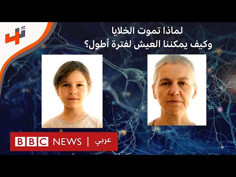 لماذا تموت الخلايا وكيف يمكننا العيش لفترة أطول؟