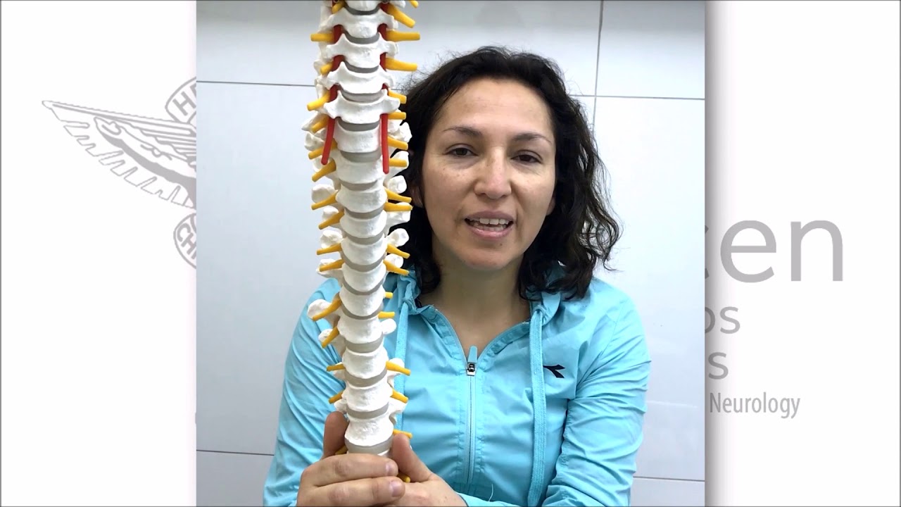 Carlos Alcalde Garmendia-33