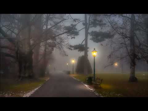 skaski = Hologram Forest [Premiere]