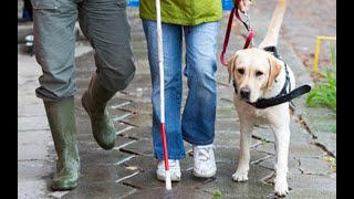 Addressing the Needs of People with Disabilities in Public Health Emergencies