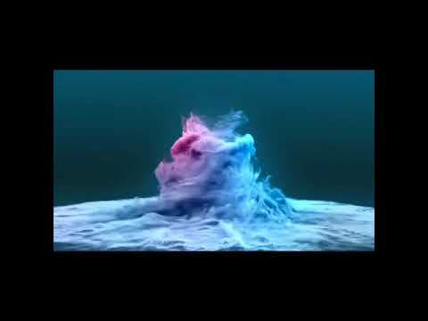 Happy birthday special||Monika sonari||2020