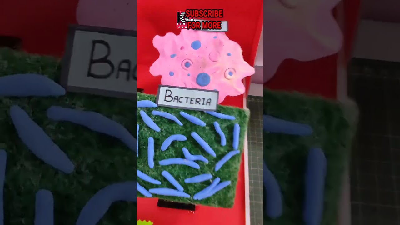 #microorganism#easymodelschoolmodel#komodocraft#bacteria#amoeba#breadmould#virus#easymodel