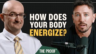 From Fat to Fast: Understanding Energy Use Across Exercise Zones | Inigo San Millan | The Proof #277