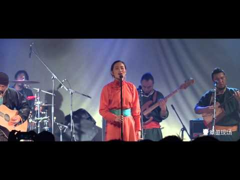 Octolive | 杭盖乐队《海然海然》 Hanggai "Haria Haria"