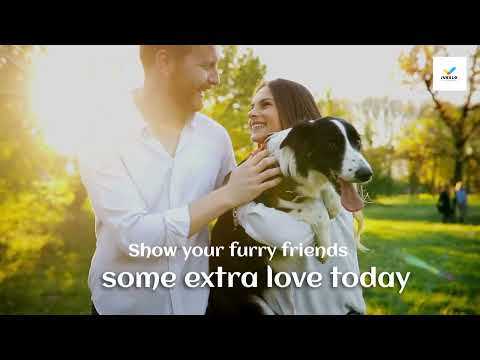 Dog breeds video thumbnail