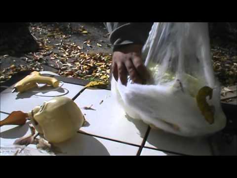 Halloween Prop Making: How To Make A Realistic Looking...