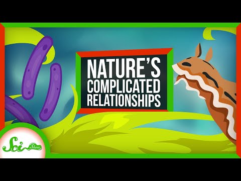 Symbioses Are Way More Complex Than You Think!