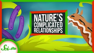 Symbioses Are Way More Complex Than You Think!