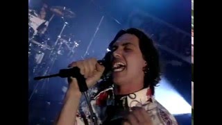 Caifanes - El Animal (en vivo 1994)