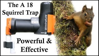 The A18 Squirrel Destroyer - A Powerful & Effective CO2 Squirrel Trap - Mousetrap Monday