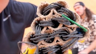 What's inside a Firework?