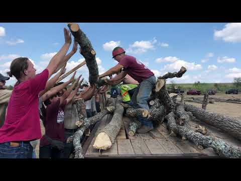 Student Bonfire 2019