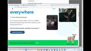 Fix Cox internet not working! Cox outages Is Cox Down Right Now