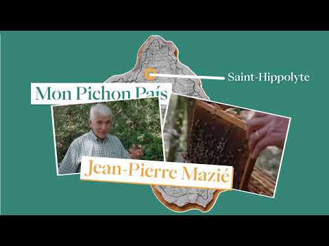 “Mon pichon país” #7 Los bornhons d'Isagueta