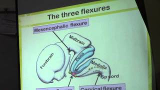 16) Dr.Doaa 4/5/2015 [CNS] HD