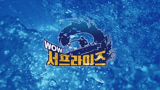 [Teaser1] WOW! 서프-라이즈