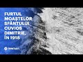 Moaștele Sfântului Cuvios Dimitrie Au Fost Furate în 1918