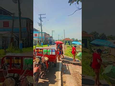 Veja esse lugar lindo município de anamã Amazonas