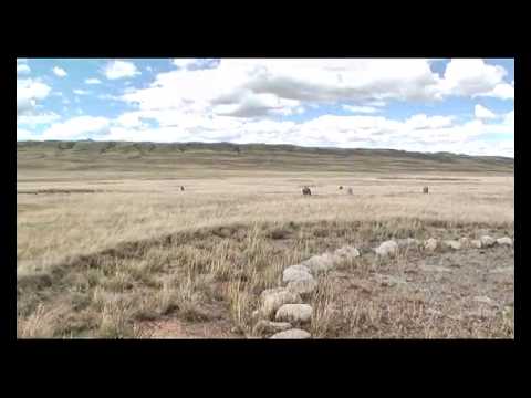 Смотреть видео Смотреть видео