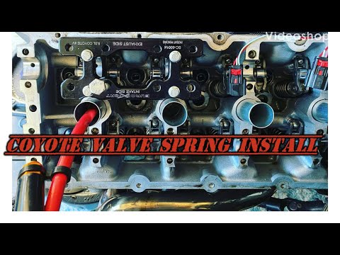 Coyote valve spring change