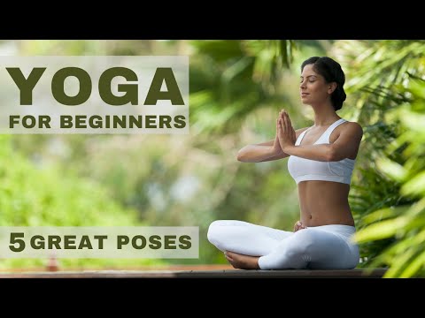 Yoga For Beginners - Free Your Spine, Reduce Stress! Great Instructional video for Beginners #yoga