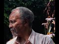 Ep #99 with Milford Graves - A Celebration (part 1)