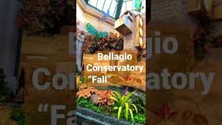 無料で楽しむラスベガス！　新テーマ「秋」/べラジオホテル　“Fall” Display at Bellagio Hotel Las Vegas #shorts