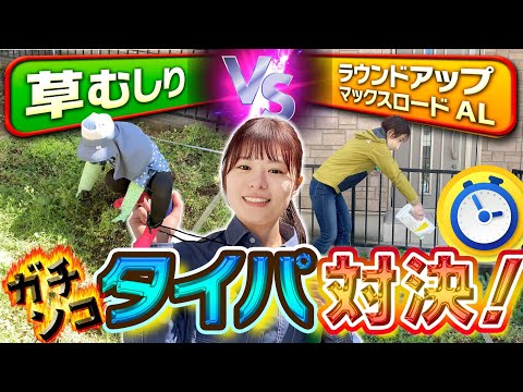 ラウンドアップに代わる除草剤はどれ？環境に優しく効果的な 10 のオプション  庭園