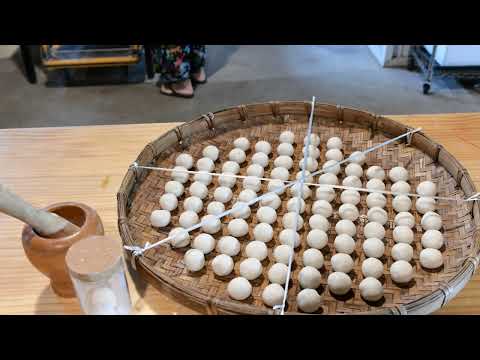 阿美族傳統酒麴及酒釀製作 東河鄉都蘭部落