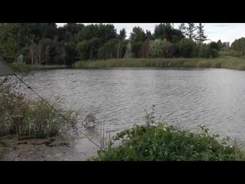 Łowisko wędkarskie Bagry (Kraków)