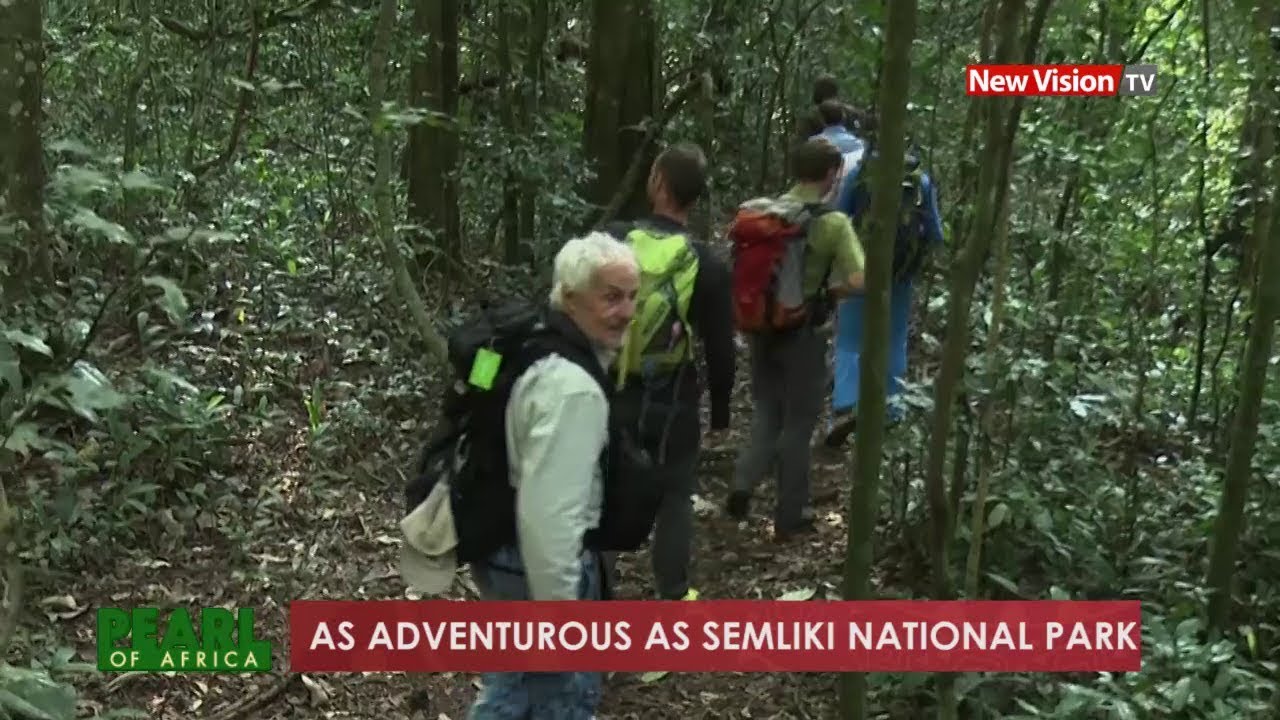 Pearl of Africa - As adventurous as Semliki national park
