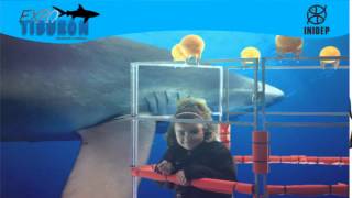 DIA 2 Expo Tiburon21