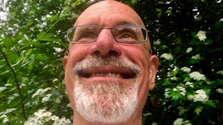 Double Lifetime, take 11