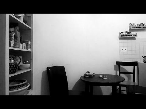 MushiFlo - VBT 2015 VR 3 - (vs. Zahnbürste)